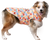 Canada Pooch Pick Me Poncho Warped Checker Size 28