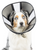 ZenPet Soft Recovery Cone Small