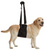 ZenPet Buddy Lift Rehabilitation Sling Back Leg Large / Extra Large