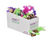 Multipet Safari Feather Mice Assorted Colors