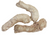 Momentum Carnivore Nutrition Chicken Neck Chew