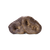 Vital Essentials RAW BAR Freeze-Dried Raw Dog Snacks Pig Snout (single)