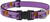 Lupine Adjustable Collar Trick or Treat 1" 12-20