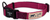 Hamilton Adjustable Dog Collar Wild Berry Rose & Wine 5/8 12-18"