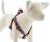 Lupine Step-In Harness El Paso 1/2" 12-18