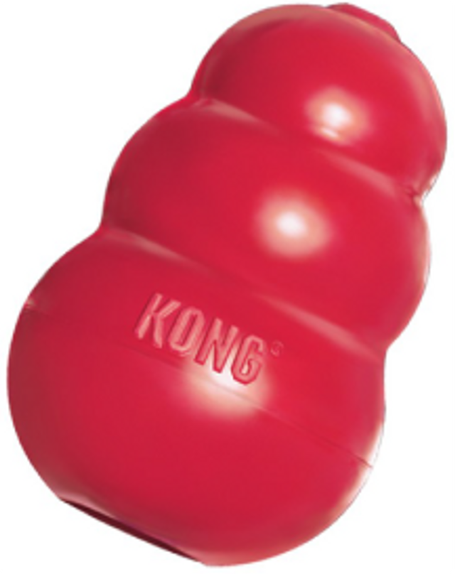 Kong t1 Large Red Kong Toy Dog Toy Vermont Pet Food and Supply