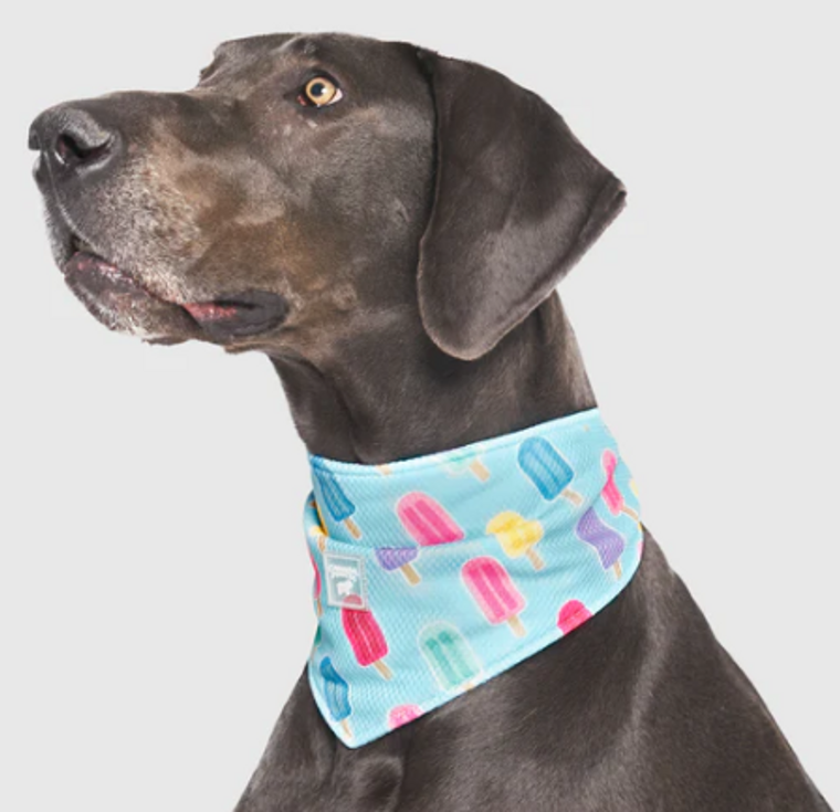 Chill Seeker Cooling Bandana Popsicles Medium