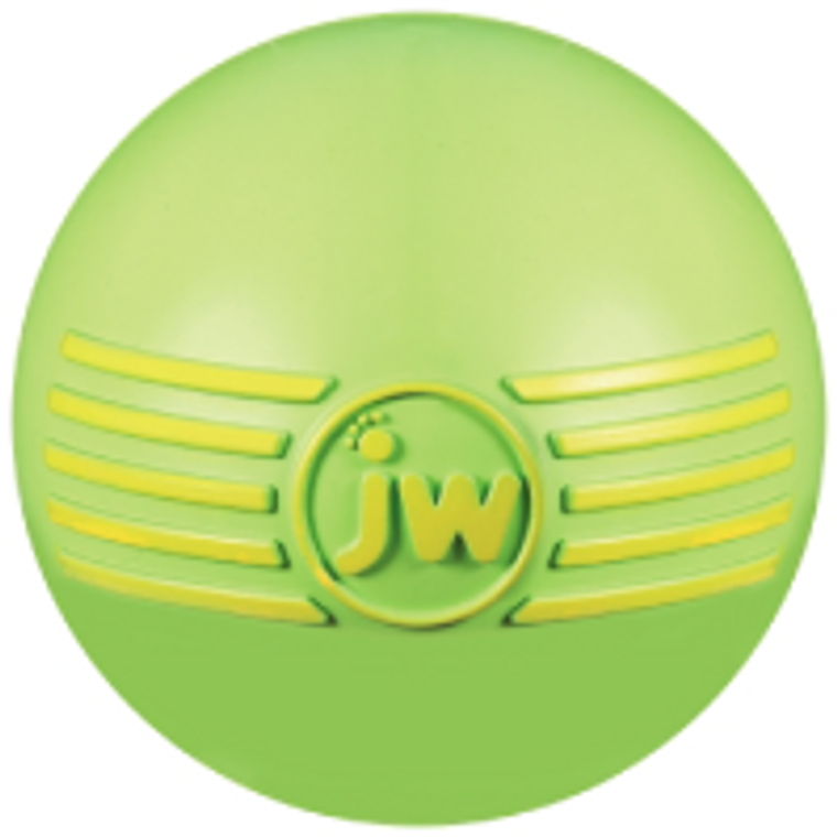JW Pet Medium Isqueak Ball Dog Toy
