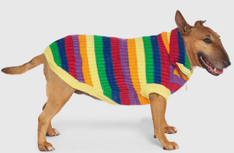 Canada Pooch Over the Rainbow Sweater Rainbow Stripesize 16