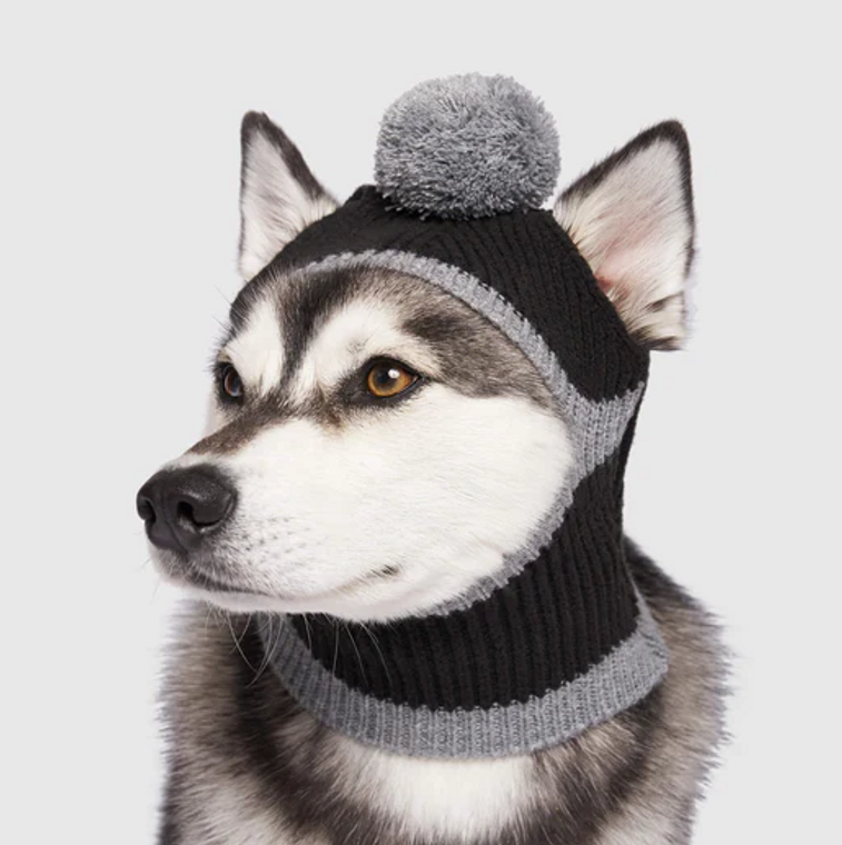 Canada Pooch Bandit Hat 2 in 1 Black Small