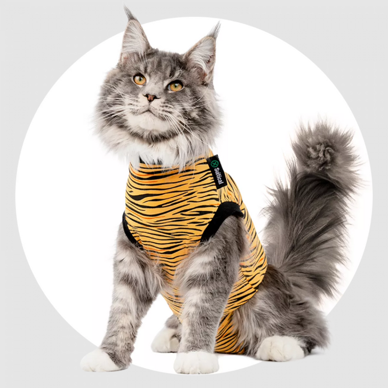 Suitical Recovery Suit Cat Tiger Extra Small