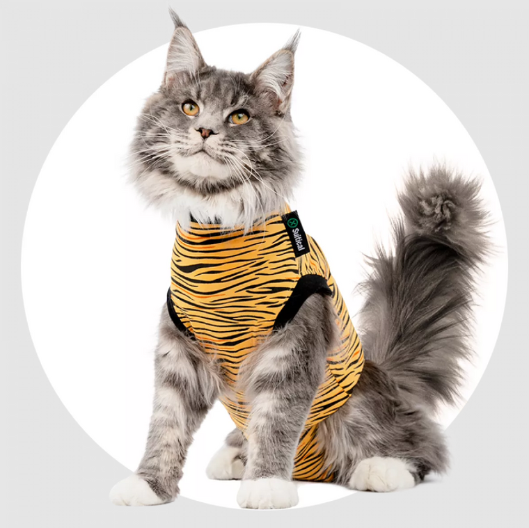 Suitical Recovery Suit Cat Tiger Small