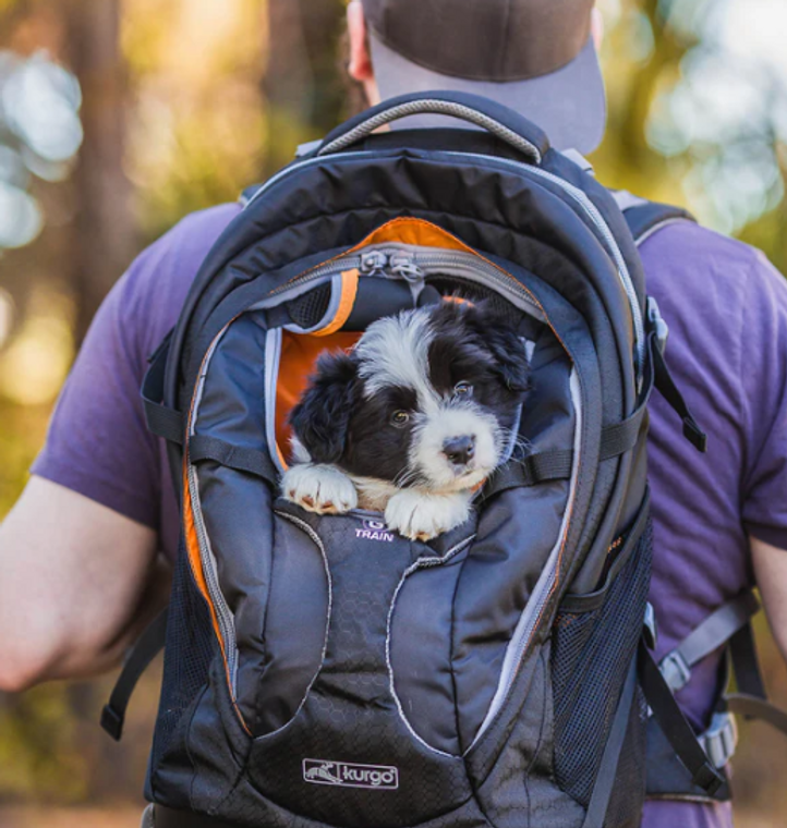 Kurgo G-Train K9 Carrier Back Pack Navy