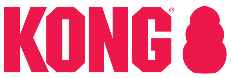 Kong Halloween AirDog Squeaker Egg Medium 2 pack