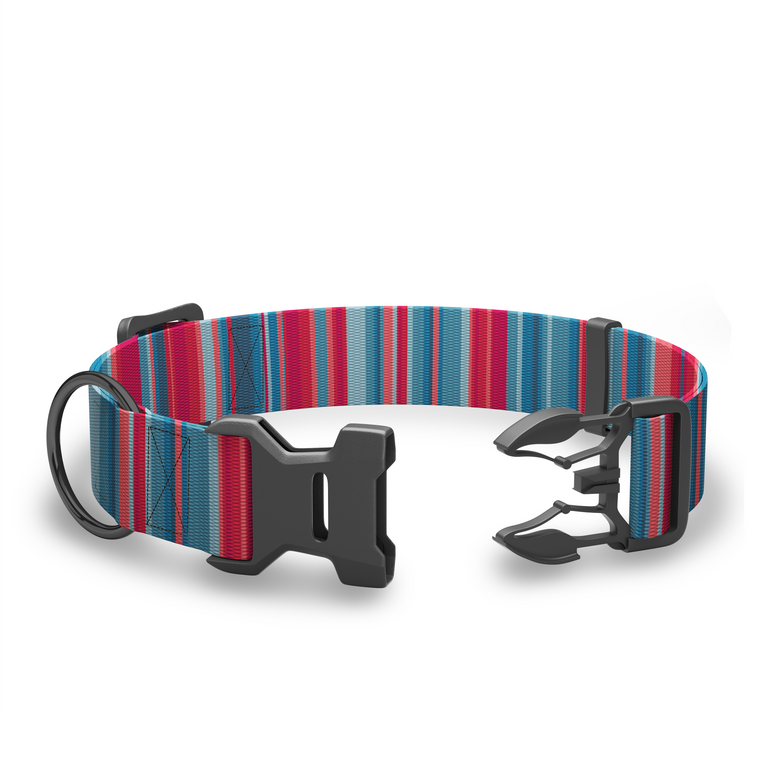 Wingo Coosa Dog Collar Baja Bars Medium
