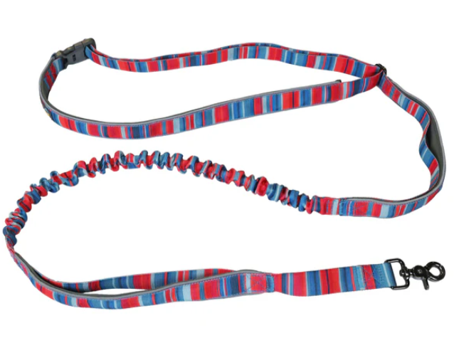 Wingo Bungee Dog Leash Baja Bars 8'