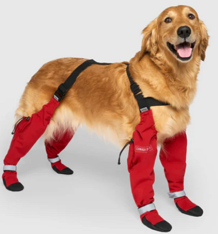 Canada Pooch Suspender Boots Short 3 Red