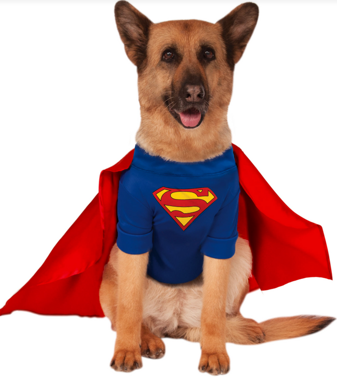 Ruby Slippers Superman Pet Costume Large