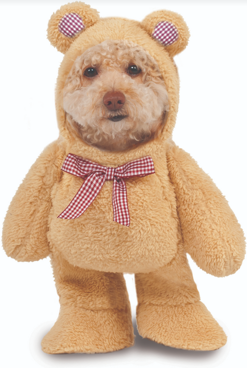 Ruby Slippers Walking Teddy Bear Pet Costume Extra Large