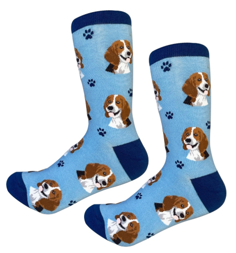 Socks Beagle