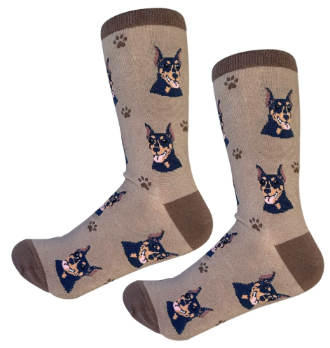 Socks Doberman