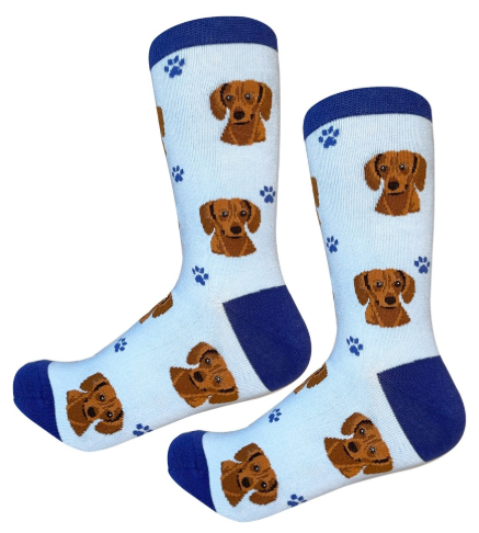 Socks Dachshund Red