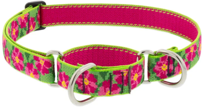 Lupine Combo Collar Petunias 3/4" 14-20