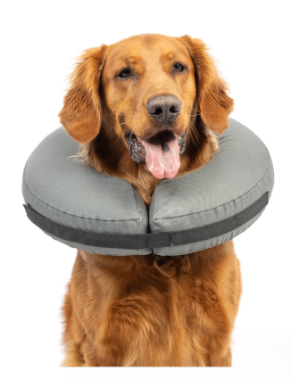 ZenPet The Original ProCollar Small