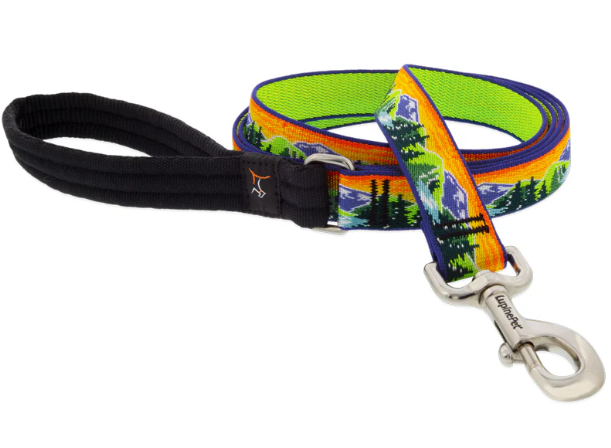 Lupine Leash 1in High Country 6ft