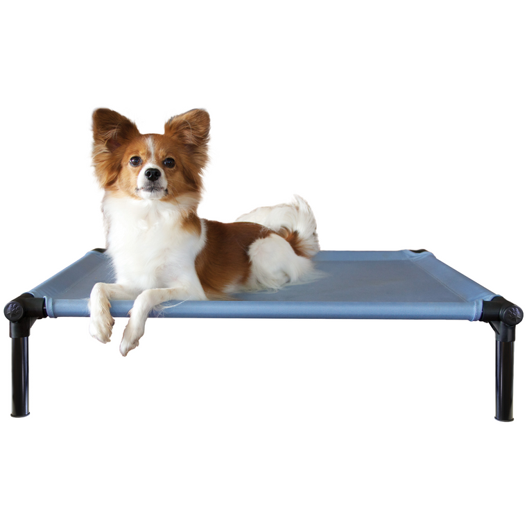 Starmark Dog Zone Medium Sky Blue Raised Cot Bed