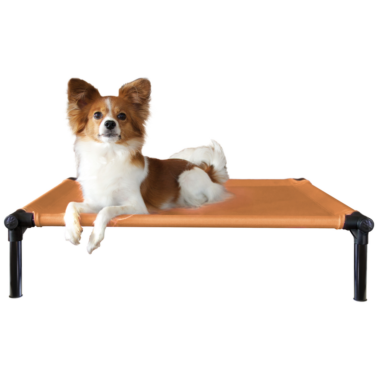 Starmark Dog Zone Medium Sunset Gold Raised Cot Bed