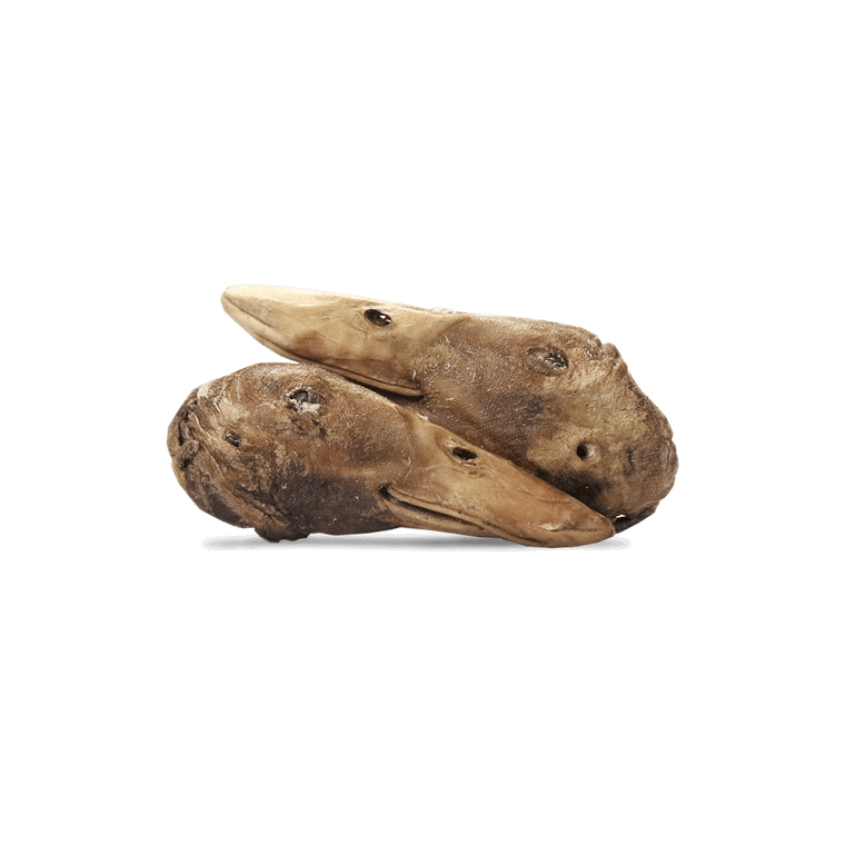 Vital Essentials RAW BAR Freeze-Dried Raw Dog Snacks Duck Head (single)