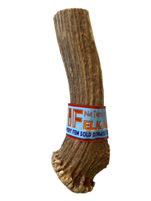 WIF Natural Drop Split Elk Antler Large