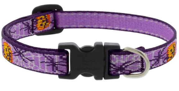 Lupine Adjustable Collar Trick or Treat 1/2" 6-9