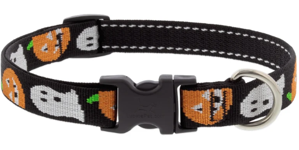 Lupine Adjustable Collar Ghost 3/4" 13-22