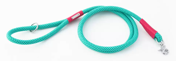Zippy Paws Mod Essentials Leash Teal