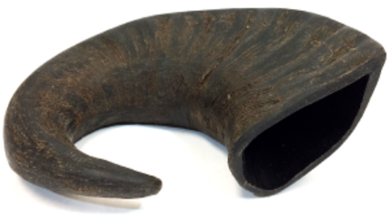 Water Buffalo Horn Large