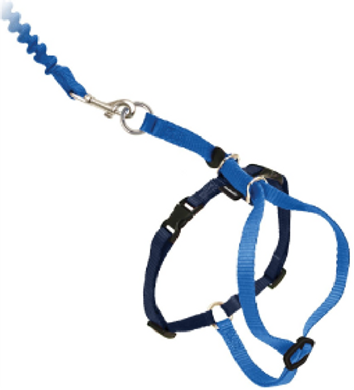 Premier Medium Come With Me Kitty Blue Harness