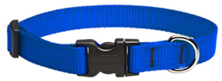 Lupine Collar Blue 3/4"13-22