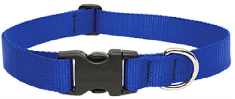 Lupine Collar Blue 1" 12-20