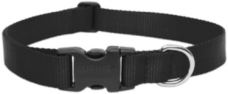 Lupine Collar Black 1" 16-28