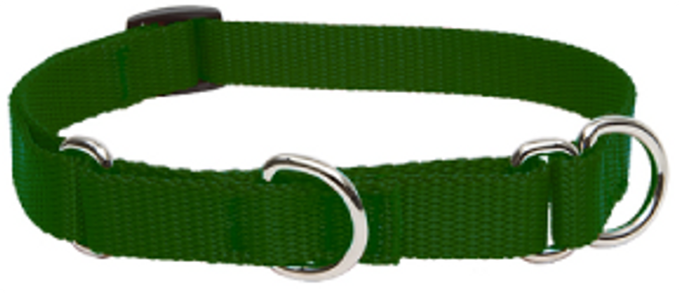 Lupine Combo Collar Green 1" 14-22