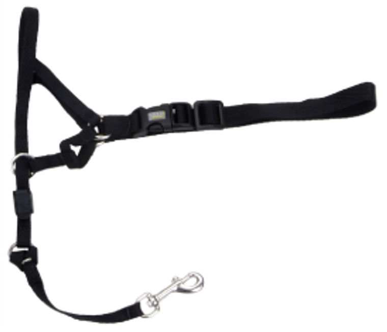 Coastal Dog Head Halter Walk N Train Extra Large