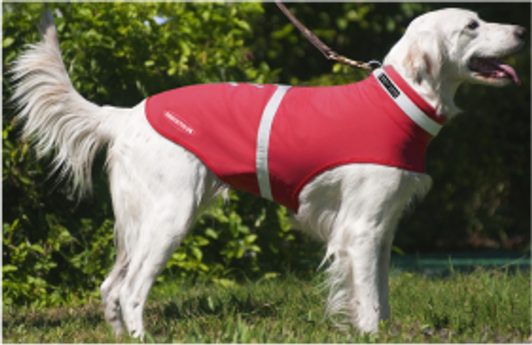 Large Corky's Reflective Wear Dog Jacket Red