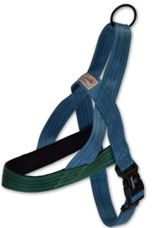 Hamilton Harness Norwegian River Bend Ocean & Green 1 27-34"