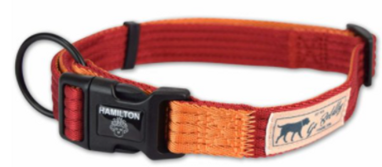 Hamilton Adjustable Dog Collar Campfire Red & Mango 1 18-26"