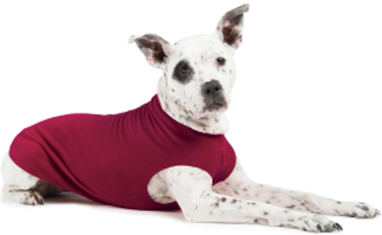 Gold Paw Fleece Garnet Size 20