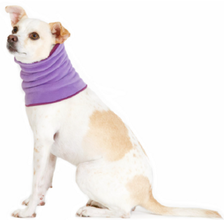 Gold Paw Snood Lavender & Eggplant Small