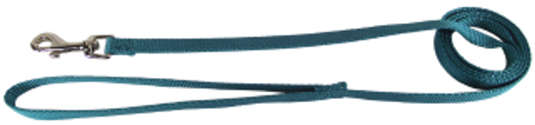 Hamilton Dog Lead Teal 3/8" 6'