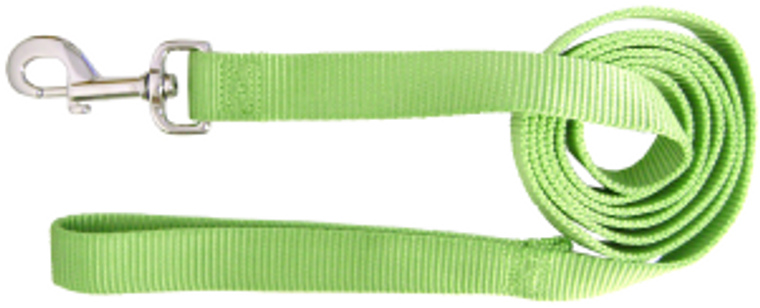 Hamilton Dog Lead Lime 1" 4'